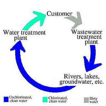 water cycle