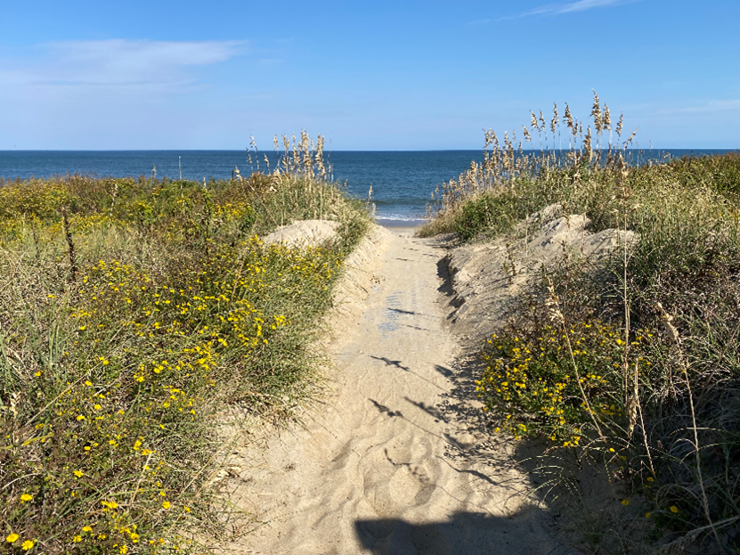 beach path